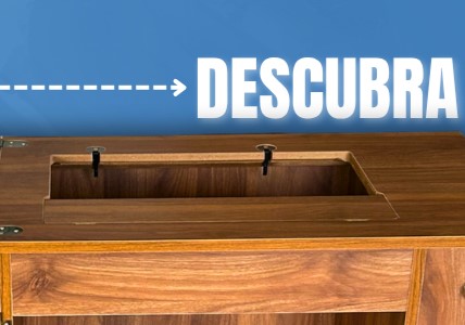 carrossel (2) (428 x 300)